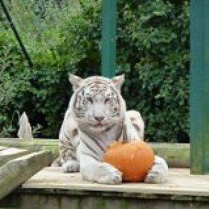 Various recent photos at PWP