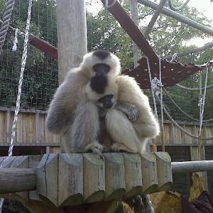 Various recent photos at PWP