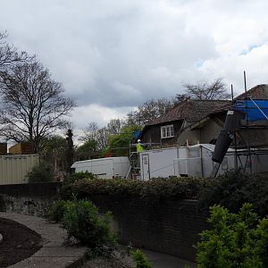 Building work for new tiger enclosure