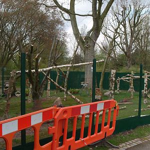 New Red Panda Enclosure