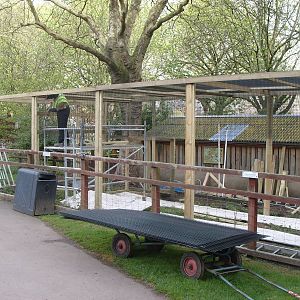 New Red Squirrel Enclosure