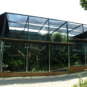 Papiliorama - Margay exhibit