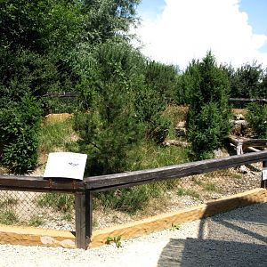 Papiliorama - Tortoise exhibit