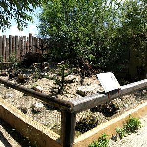 Papiliorama - Guinea pig exhibit