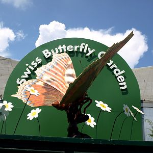 Papiliorama - Swiss Butterfly Garden