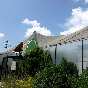 Papiliorama - Swiss Butterfly Garden