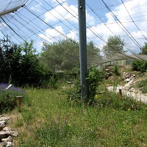 Papiliorama - Swiss Butterfly Garden