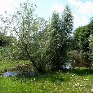 Papiliorama - Silver Lake