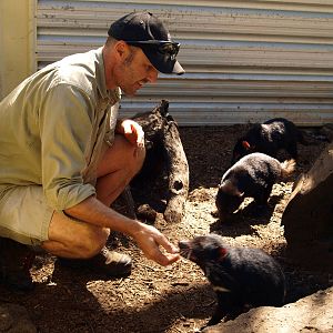 Keeper with young devils