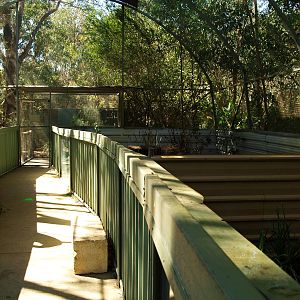 Interior of Tasmanian Devil breeding complex