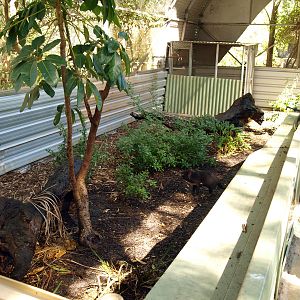 One of the Tasmanian Devil pens