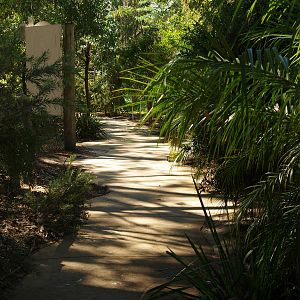 Pathway through zoo