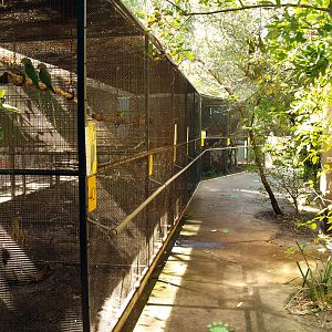 Row of parrot aviaries