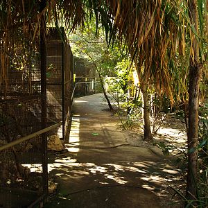 Row of aviaries for parrots