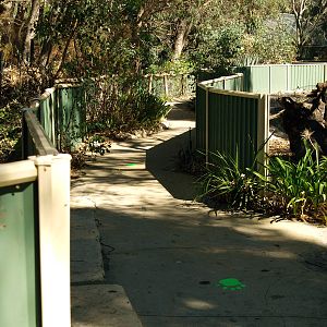 Pathway through enclosures