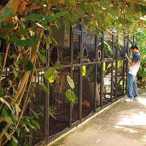 Row of cages for possums