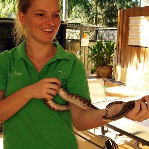 Handler with Stimson's python