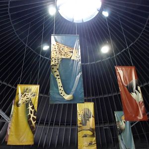 Inside the Entery Boma