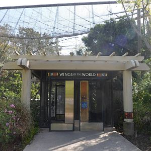 Wings of the World Entery