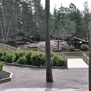 New red panda enclosure