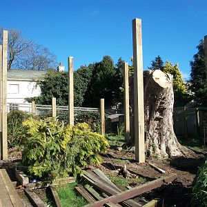 Sewerby Zoo, "Lemur Land" under construction 7th April 2012