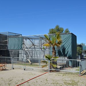 Gibbon Conservation Center