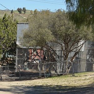 Gibbon Conservation Center
