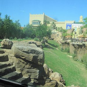 Cheetah Run- Cheetah Exhibit
