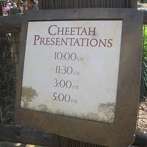 Cheetah Run- Cheetah Presentations