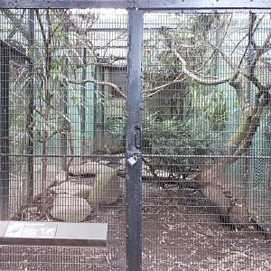 Bronx Zoo- Pheasant Aviaries- Himalayan Monal Exhibit
