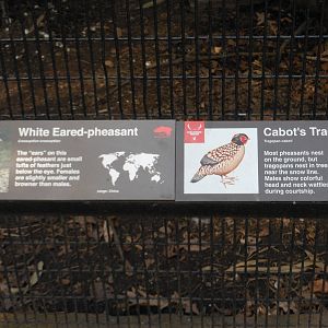 Bronx Zoo- Pheasant Aviaries- White-eared Pheasant/Cabot's Tragopan Signage