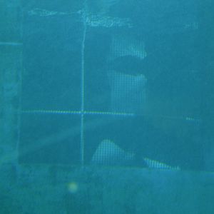 Secret window with stingrays in the sand tiger shark tank