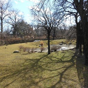 Bronx Zoo- African Plains- N'yala Exhibit