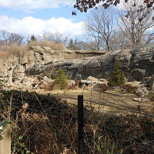 Bronx Zoo- Big Bears- Grizzly Bear Exhibit