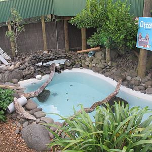 Brooklands Zoo - Asiatic Otter Enclosure