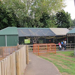 Brooklands Zoo -Bolivian Squirrel Monkey Enclosure