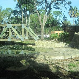 Black Bear Hammock- Natural Habitat
