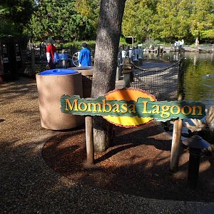 Mombasa Lagoon Entery