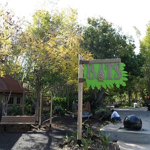 Fruit Bat Exhibit Entery