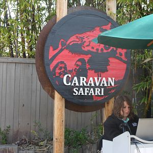 Caravan Safari