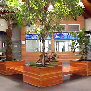 Inside South American Pavilion