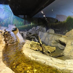River Otter Exhibit