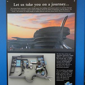 Graphics about What's Coming Next