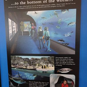 Graphics about What's Coming Next