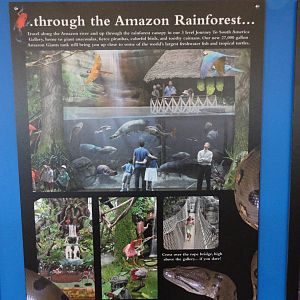 Graphics about What's Coming Next