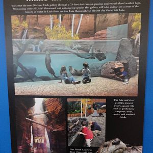 Graphics about What's Coming Next