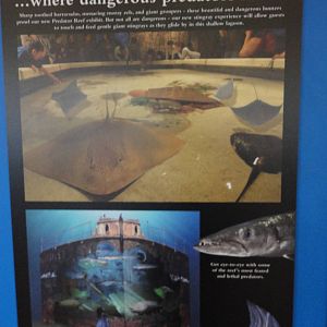 Graphics about What's Coming Next