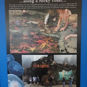 Graphics about What's Coming Next