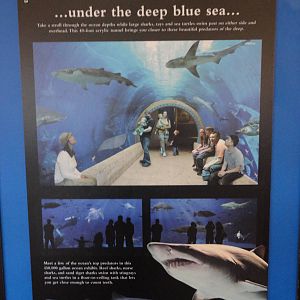 Graphics about What's Coming Next