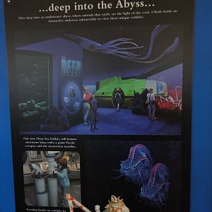 Graphics about What's Coming Next